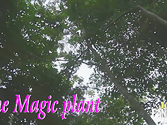 The Magic Plant New Version – Sex Movies Featuring Africansexglobe