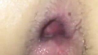 Algerian anal