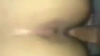 The Ass